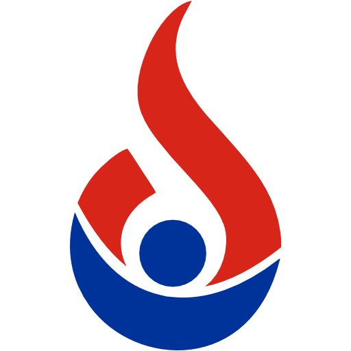 Dirsa Consulting